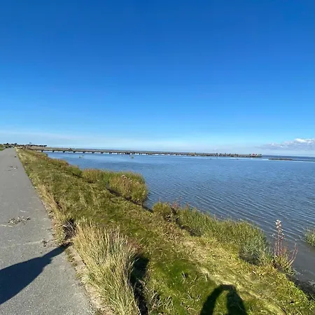 Strandlaeufer *