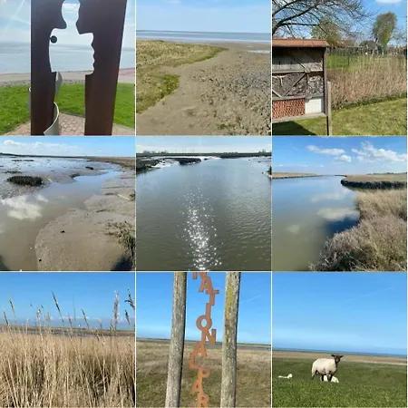 Strandlaeufer *